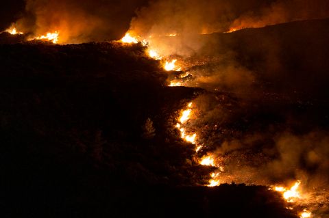 Nahe der Ortschaft Vati im Süden der Insel Rhodos steht ein Wald in Flammen