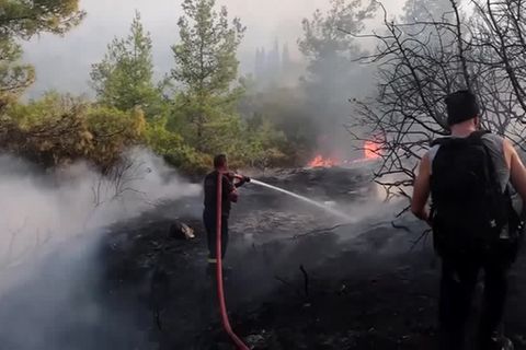 Video: Waldbrände am Mittelmeer wüten weiter