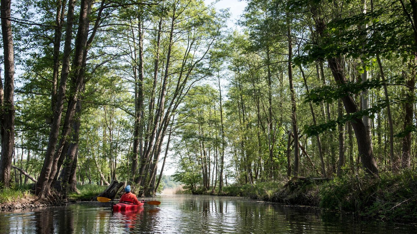 Feldberg: Kajakfahrer auf dem See, im Wald