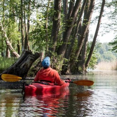 Feldberg Feldberg: Kajakfahrer auf dem See, im Wald