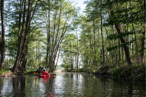 Feldberg: Kajakfahrer auf dem See, im Wald