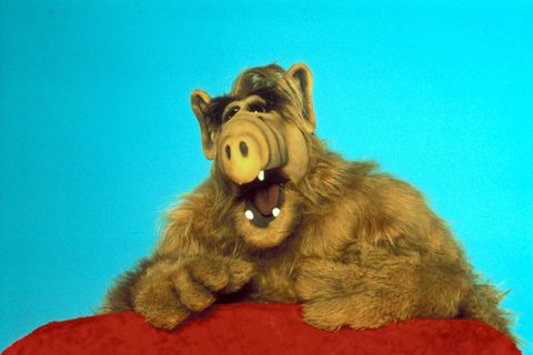 Alf