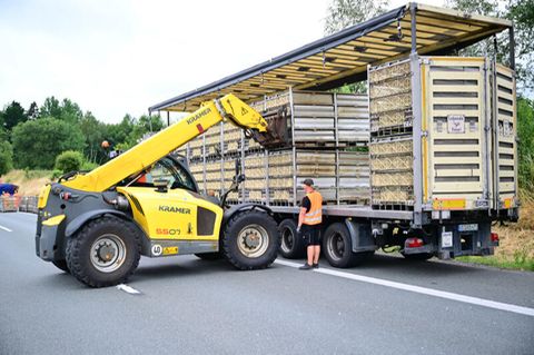 Boxen mit noch lebenden Tieren werden auf einen LKW geladen