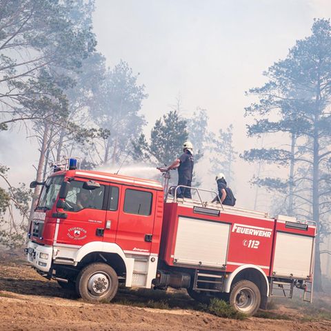 Waldbrände Deutschland