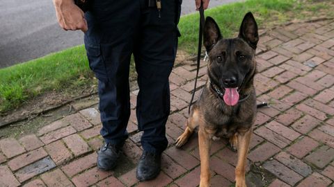 Polizeihund in Ohio