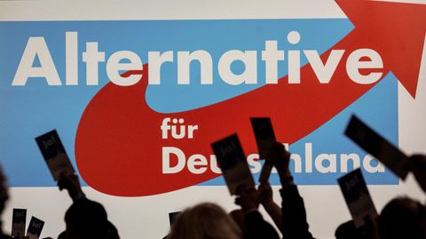 Die AfD hat große Pläne für Europa
