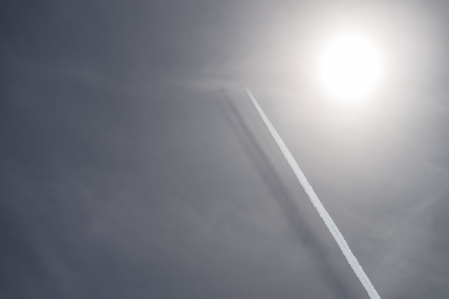 Pins and Needles Pins and Needles