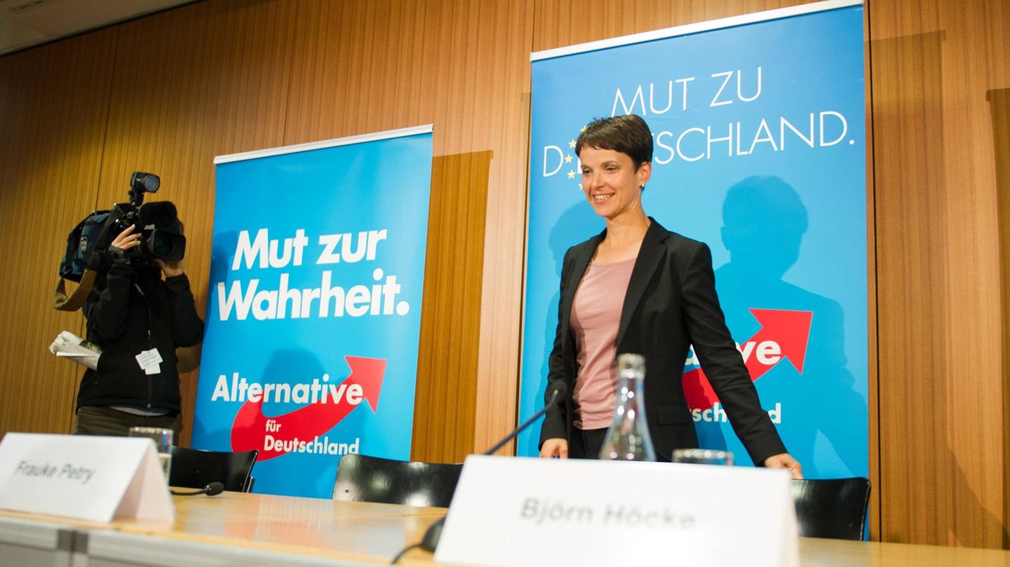 Frauke Petry bei einer AfD-Pressekonferenz