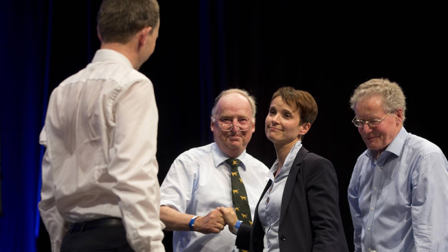 Auf einem AfD-Bundesparteitag in Essen setzt sich Petry gegen Lucke durch