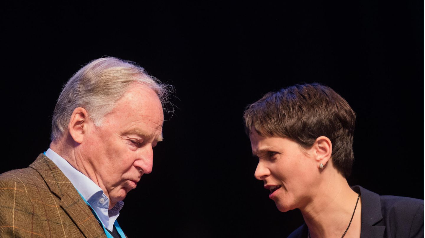 Alexander Gauland und Frauke Petry diskutieren beim Kölner AfD-Parteitag an