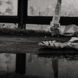 Murdered At First Sight