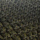 Soldaten in Tarnanzügen marschierten im Stechschritt an Diktator Kim Jong Un vorbei