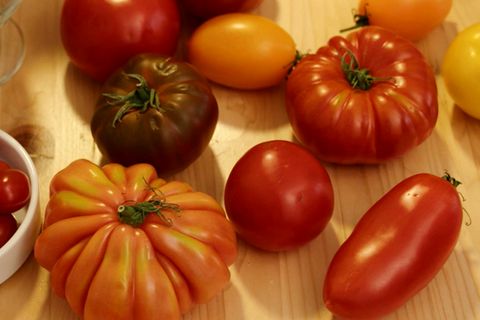 Echte Alleskönner – weshalb die Tomate in Ihrer Ernährung nicht fehlen darf