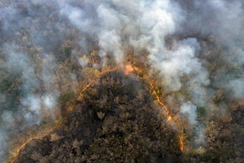 Auf Rhodos und Korfu herrschen derzeit verheerende Waldbrände. 