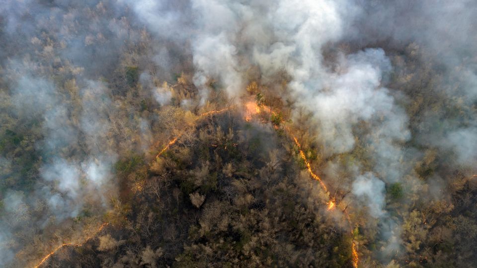 Auf Rhodos und Korfu herrschen derzeit verheerende Waldbrände. 