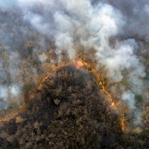 Auf Rhodos und Korfu herrschen derzeit verheerende Waldbrände. 
