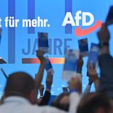 10 Jahre AfD