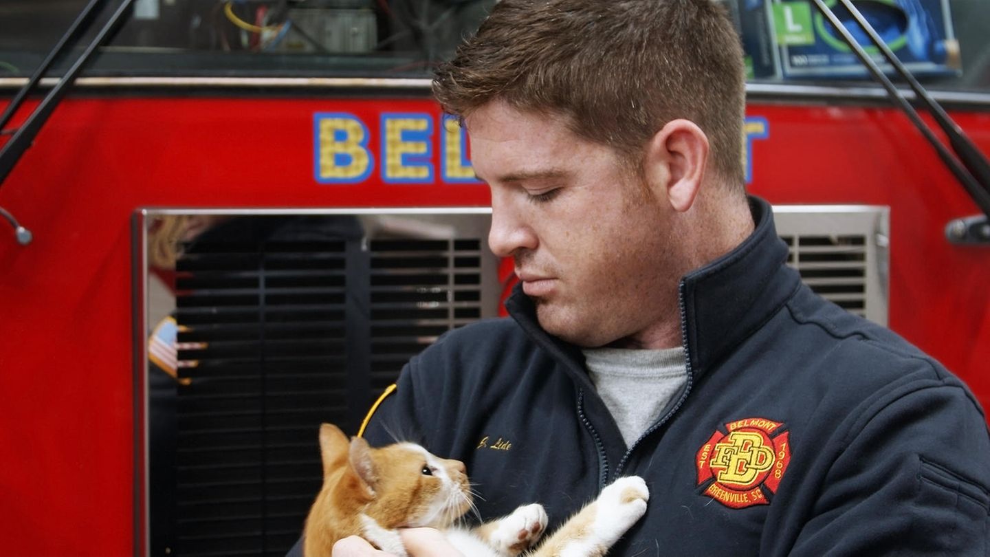 Eine Szene aus "Cat Daddies": In der Feuerwache von Greenville im US-Bundesstaat South Carolina wohnt "Flames". Hier kümmert sich Brandbekämpfer Jordan um die Katze.