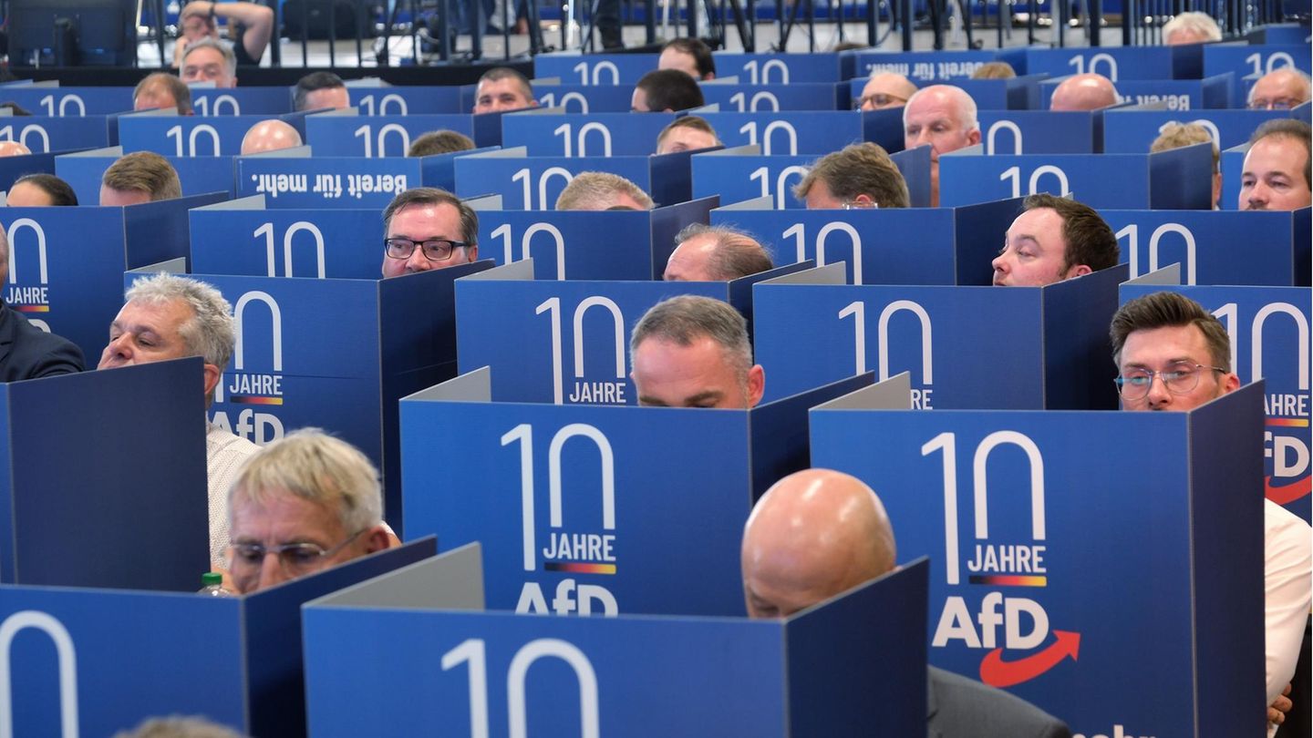 Delegierte der AfD hinter blauen Wahlkabinen.