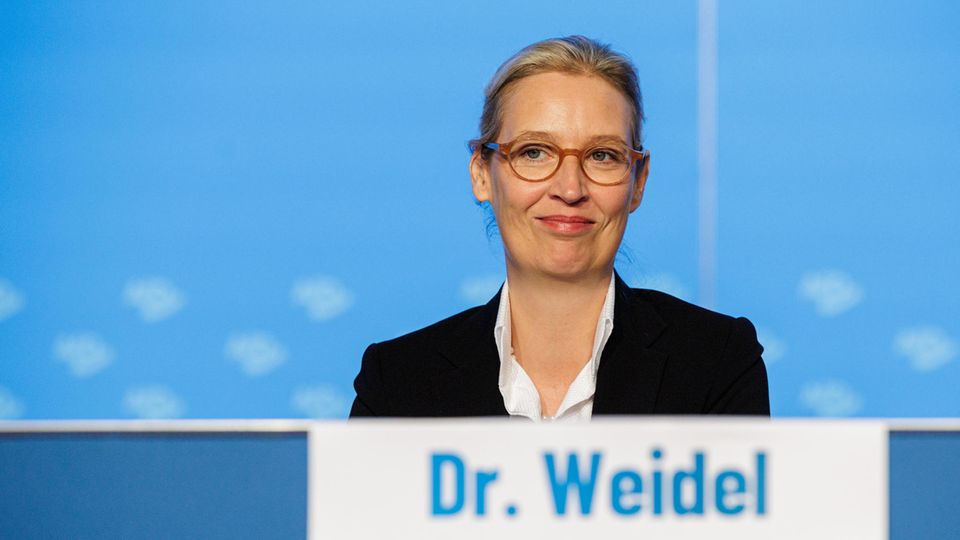 Die AfD unter Parteichefin Alice Weidel bekommt die meisten Parteispenden. 