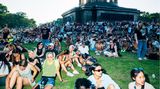 Viele Menschen sitzen auf einer Wiese