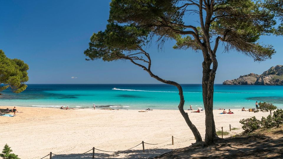 Mallorca: Cala Agulla