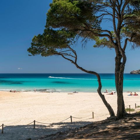 Mallorca: Cala Agulla