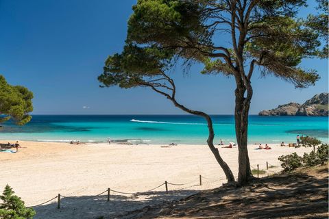 Mallorca: Cala Agulla