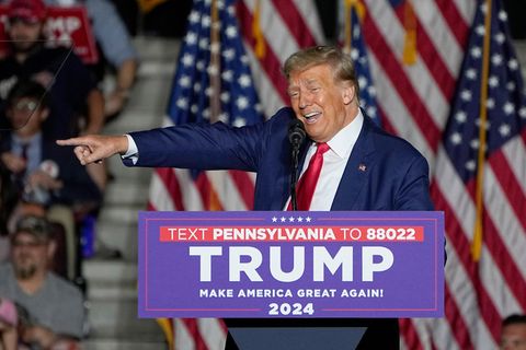 Donald Trump Umfragehoch