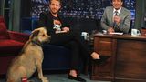 Auch immer an Goslings Seite: Sein Hund George, der ihn zu dieser Zeit regelmäßig zu Drehs und Auftritten begleitet. So auch hier bei Jimmy Fallons "Late-Night-Show" im Jahr 2011. 2016 stirbt George im Alter von 17 Jahren. Drei Jahre später wird Dobermann Lucho der tierische Nachfolger des Mischlings.