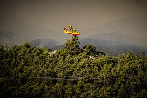 Ein Löschflugzeug im Einsatz auf Griechenlands Insel Rhodos
