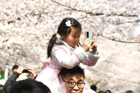 Mädchen mit Smartphone in der Hand