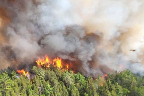Waldbrand Kanada