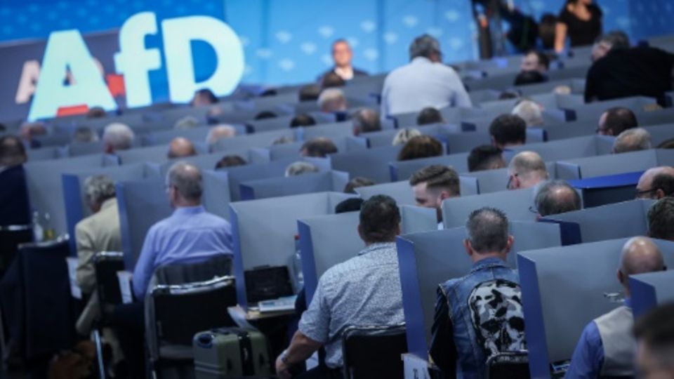Delegierte bei der AfD-Europawahlversammlung