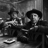 Die Theorie von allem