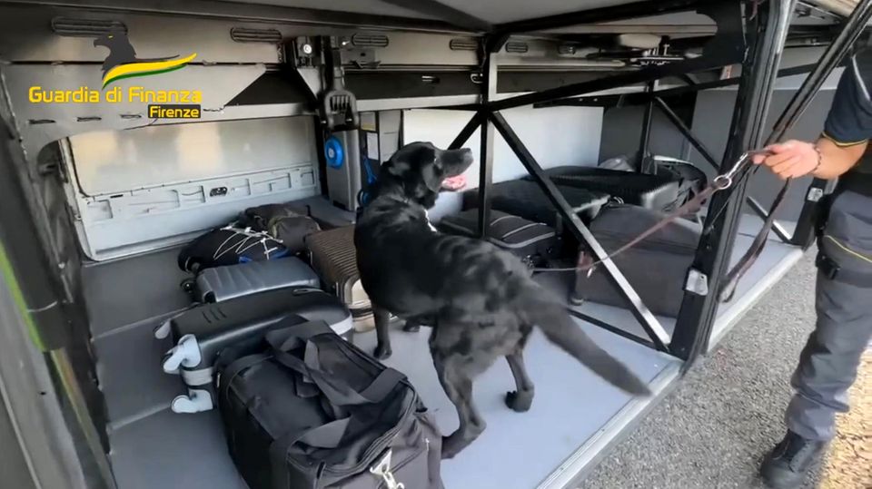 Eine Million Euro im Gepäck: Spürhund stellt Geldschmugglerin in Italien