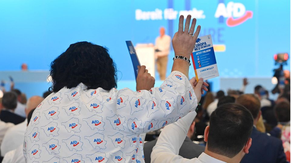 Eine Delegierte beim letzten Bundesparteitag der AfD in Magdeburg.