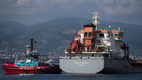 Ein Schlepper arbeitet am Heck eines Frachters im Hafen von Derince in der Türkei