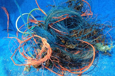 Ein Gewirr aus orangen, blauen und grünen Plastikfasern von Fischernetzen, gefunden am Strand von Sankt-Peter-Ording