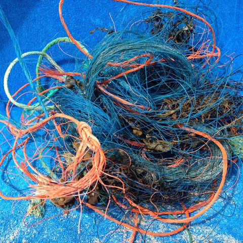 Ein Gewirr aus orangen, blauen und grünen Plastikfasern von Fischernetzen, gefunden am Strand von Sankt-Peter-Ording