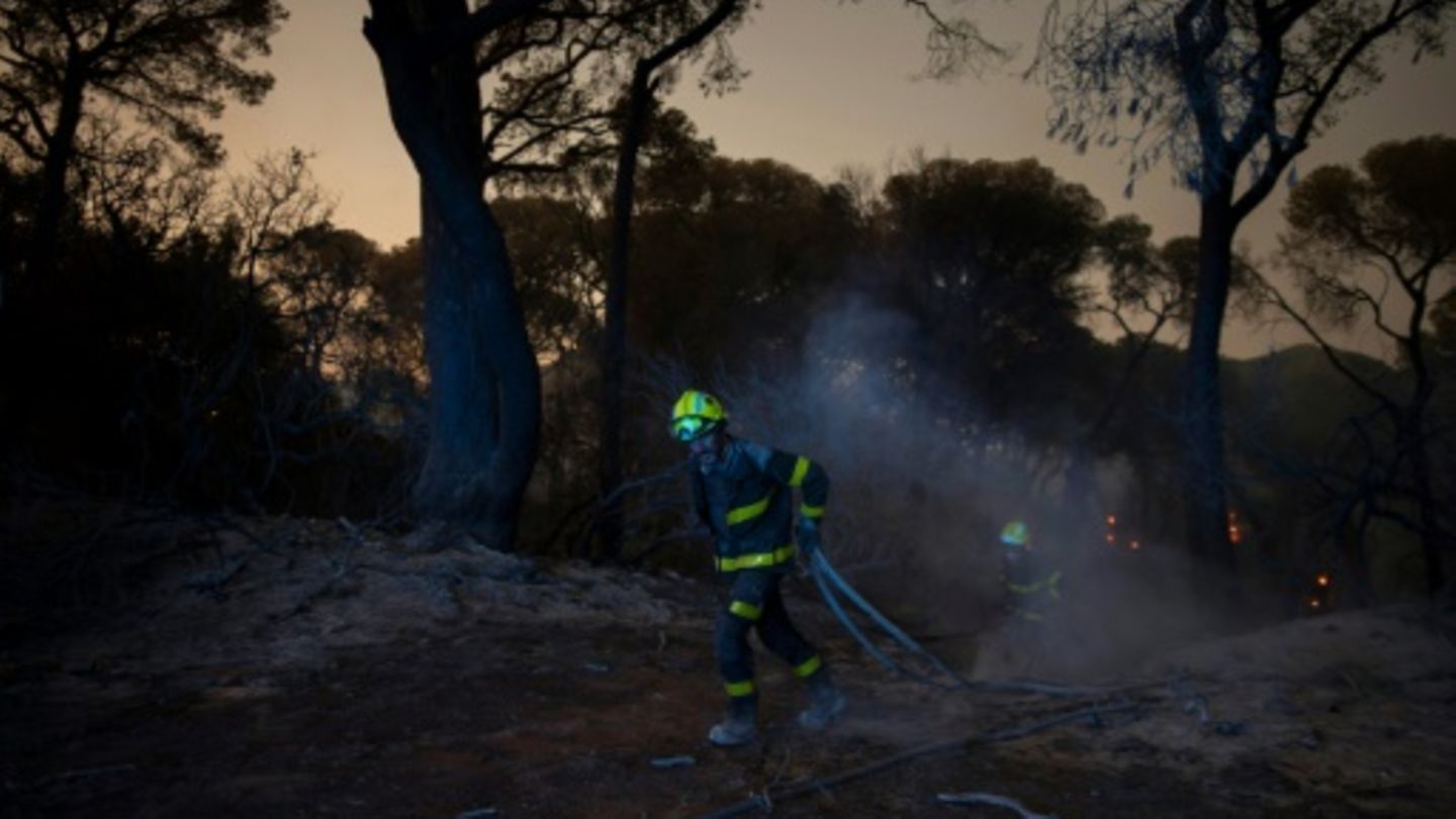 Waldbrände und sengende Hitze in Portugal, Spanien und Zypern