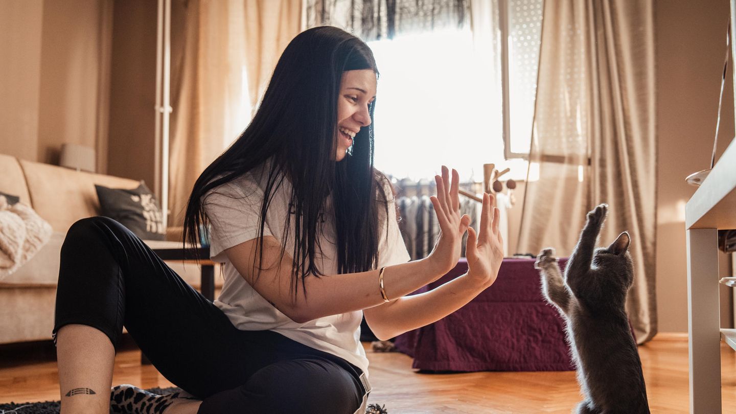 Frau spielt mit Katze