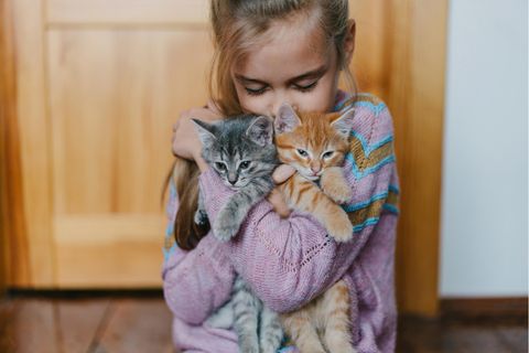 Kind mit Katzen