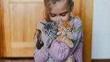 Kind mit Katzen
