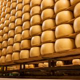 Ein Käselaibe in einem Regal