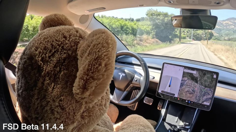 Ein Teddy sitzt am Steuer eines Tesla