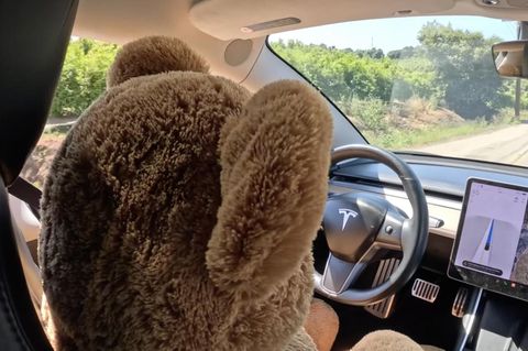 Ein Teddy sitzt am Steuer eines Tesla