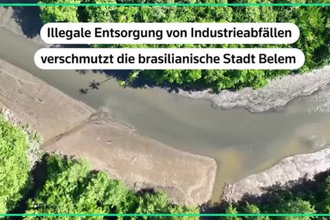 Video: "Unvorstellbare Vielfalt" - Verschmutzung am Rande des Amazonas-Gipfels