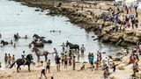 Badepause: Im Atlantik werden die Pferde gesäubert und können sich erfrischen ...