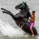 Auch so ein Pferdebad ist nur etwas für geübte Reiter